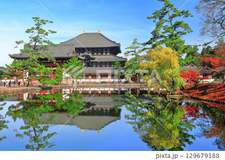 【奈良県】シンメトリーな東大寺と紅葉(大仏殿と中門) 【奈良県】シンメトリーな東大寺と紅葉(大仏殿と中門) 129679188