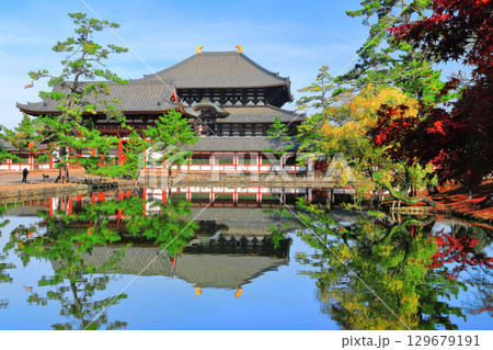 【奈良県】シンメトリーな東大寺と紅葉(大仏殿と中門) 【奈良県】シンメトリーな東大寺と紅葉(大仏殿と中門) 129679191