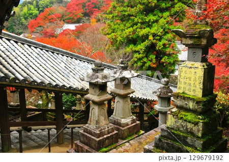 【奈良県】長谷寺の登廊と紅葉 【奈良県】長谷寺の登廊と紅葉 129679192