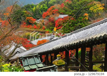 【奈良県】長谷寺の登廊と紅葉 129679194