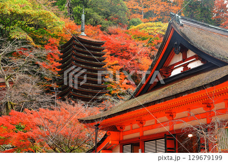 【奈良県】談山神社の紅葉(十三重塔と神廟拝所) 【奈良県】談山神社の紅葉(十三重塔と神廟拝所) 129679199
