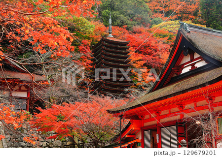 【奈良県】談山神社の紅葉(十三重塔と神廟拝所) 【奈良県】談山神社の紅葉(十三重塔と神廟拝所) 129679201