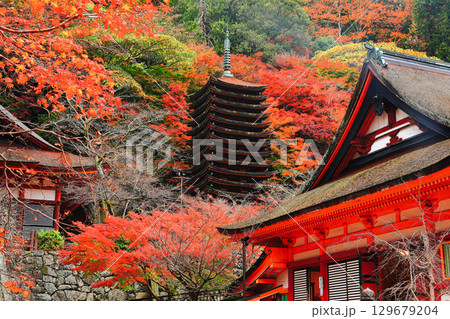 【奈良県】談山神社の紅葉（十三重塔と神廟拝所） 129679204
