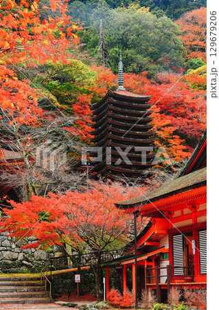 【奈良県】談山神社の紅葉(十三重塔と神廟拝所) 【奈良県】談山神社の紅葉(十三重塔と神廟拝所) 129679206