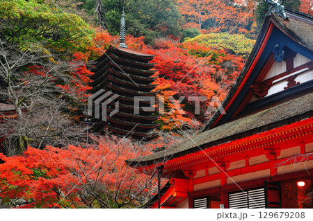 【奈良県】談山神社の紅葉（十三重塔と神廟拝所） 129679208