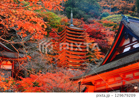 【奈良県】談山神社の紅葉ライトアップ（十三重塔と神廟拝所） 129679209