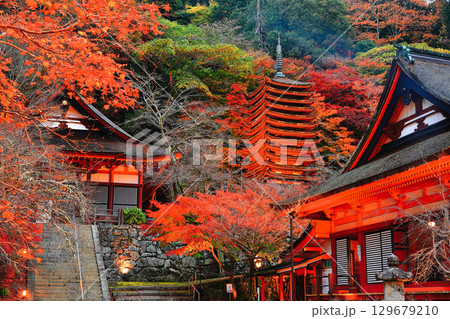 【奈良県】談山神社の紅葉ライトアップ（十三重塔と神廟拝所） 129679210