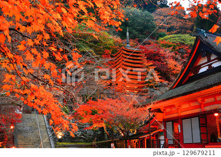 【奈良県】談山神社の紅葉ライトアップ(十三重塔と神廟拝所) 【奈良県】談山神社の紅葉ライトアップ(十三重塔と神廟拝所) 129679211