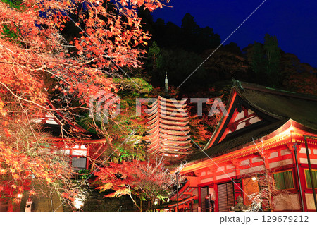 【奈良県】談山神社の紅葉ライトアップ（十三重塔と神廟拝所） 129679212