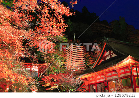【奈良県】談山神社の紅葉ライトアップ(十三重塔と神廟拝所) 【奈良県】談山神社の紅葉ライトアップ(十三重塔と神廟拝所) 129679213