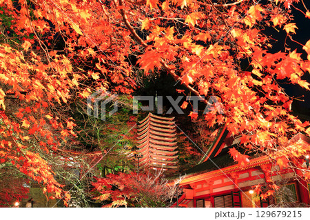 【奈良県】談山神社の紅葉ライトアップ（十三重塔） 129679215