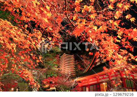 【奈良県】談山神社の紅葉ライトアップ(十三重塔) 【奈良県】談山神社の紅葉ライトアップ(十三重塔) 129679216