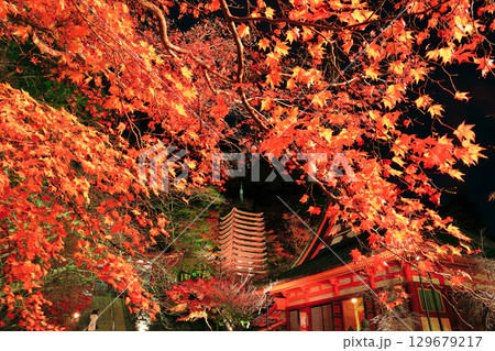 【奈良県】談山神社の紅葉ライトアップ（十三重塔） 129679217