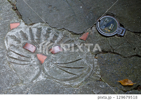 尾道　千光寺山　猫の細道 129679518