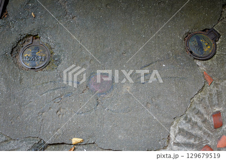 尾道　千光寺山　猫の細道 129679519