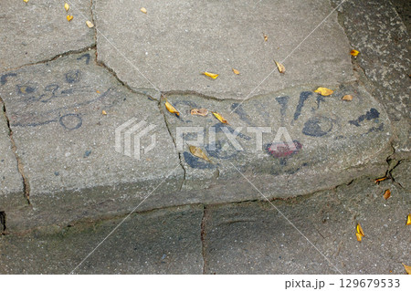 尾道　千光寺山　猫の細道 129679533