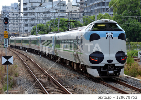 287系特急くろしお13号 129679752