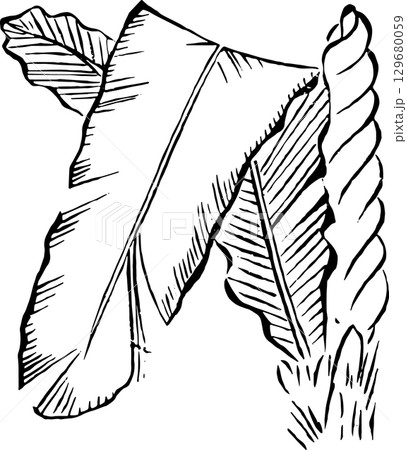 芭蕉の葉 芭蕉の葉 129680059