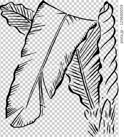 芭蕉の葉 芭蕉の葉 129680059
