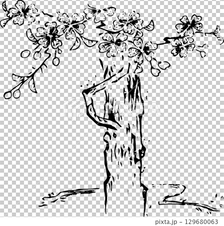 少し変わった桜の木 少し変わった桜の木 129680063