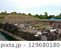日本100名城・駿府城 129680180