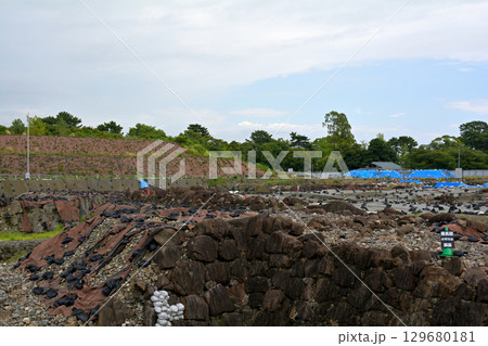日本100名城・駿府城 129680181