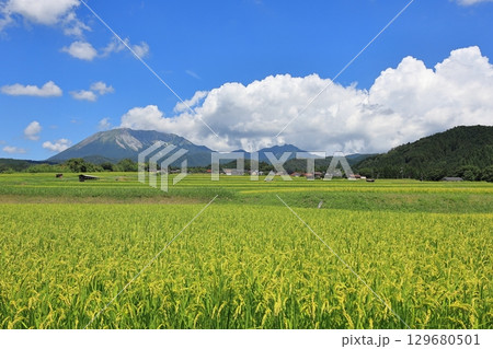 夏の貝田集落 12 夏の貝田集落 12 129680501