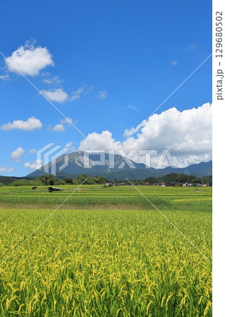 夏の貝田集落 13 夏の貝田集落 13 129680502