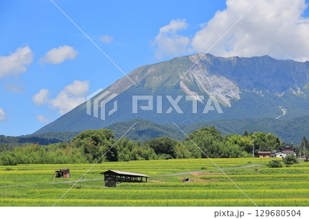 夏の貝田集落 15 夏の貝田集落 15 129680504