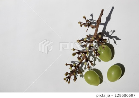 実を外したシャインマスカットの房と粒ブドウ 129680697