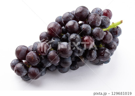 ぶどう バッファロー ぶどう バッファロー 129681019