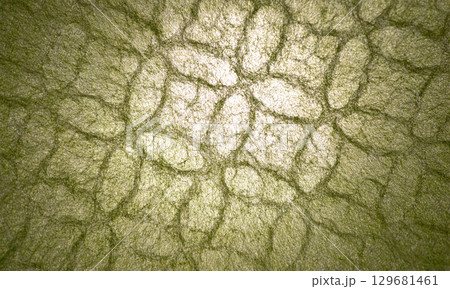 透ける日本の和紙 透ける日本の和紙 129681461