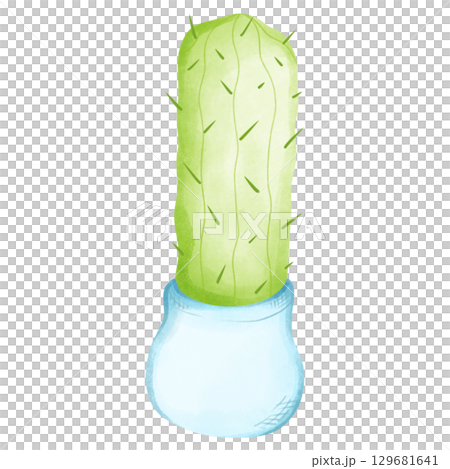 Mexican cactus and yellow flower  129681641