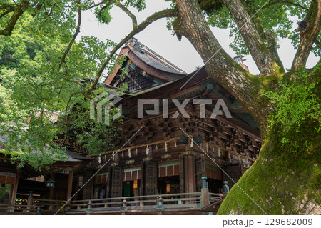 こんぴらさん(金刀比羅宮)讃岐の大社 こんぴらさん(金刀比羅宮)讃岐の大社 129682009