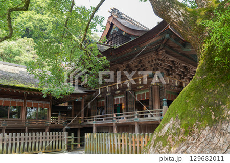 こんぴらさん（金刀比羅宮）讃岐の大社 129682011