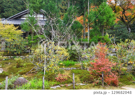 大原　実光院　旧理覚院庭園　美しい紅葉（京都府京都市左京区） 129682048
