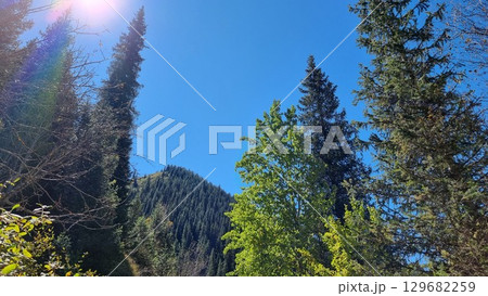 Beautiful Landscape With Trees And Mountains Beautiful Landscape With Trees And Mountains 129682259