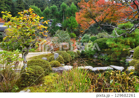 大原 実光院 旧理覚院庭園 美しい紅葉(京都府京都市左京区) 大原 実光院 旧理覚院庭園 美しい紅葉(京都府京都市左京区) 129682261