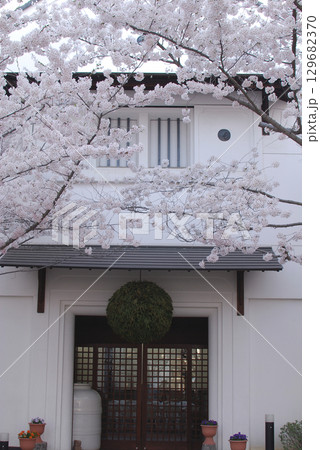 Sugidama，sake brewery 軒先に杉玉が飾られている老舗の酒蔵の玄関先～春の風物詩 129682370