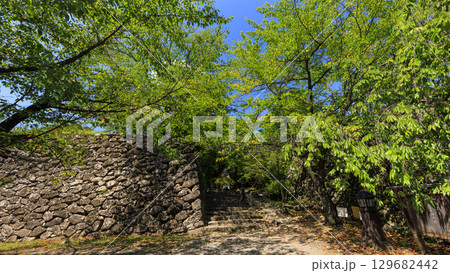 穴熊城といわれる懐古園(小諸城址)の夏 穴熊城といわれる懐古園(小諸城址)の夏 129682442