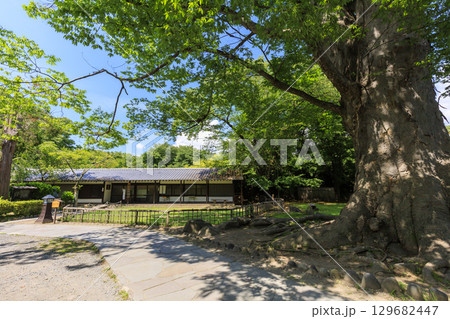 穴熊城といわれる懐古園（小諸城址）の夏 129682447