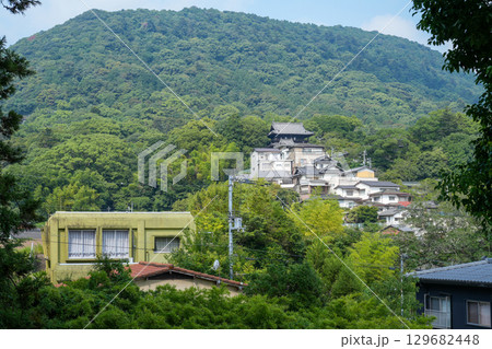 参道途中から見上げた金刀比羅宮（香川県琴平町） 129682448