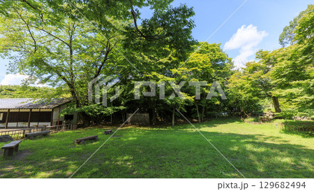 穴熊城といわれる懐古園（小諸城址）の夏 129682494