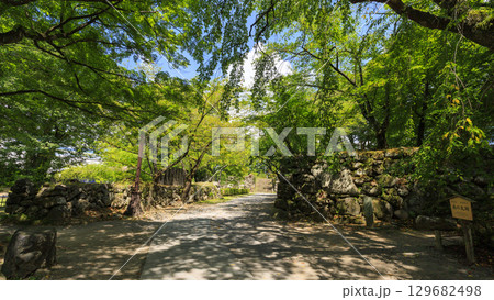 穴熊城といわれる懐古園(小諸城址)の夏 穴熊城といわれる懐古園(小諸城址)の夏 129682498