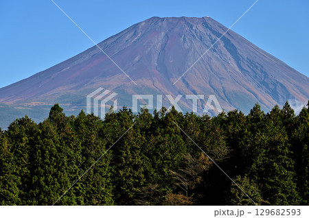 静岡県 朝霧高原より望む富士山 静岡県 朝霧高原より望む富士山 129682593