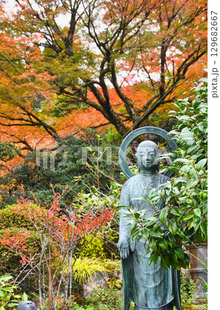 大原 実光院 旧理覚院庭園 美しい紅葉(京都府京都市左京区) 大原 実光院 旧理覚院庭園 美しい紅葉(京都府京都市左京区) 129682667