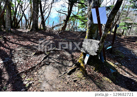 天子山地 日本二百名山の毛無山 毛無山ルートの地蔵峠・毛無山尾根道出合 天子山地 日本二百名山の毛無山 毛無山ルートの地蔵峠・毛無山尾根道出合 129682721