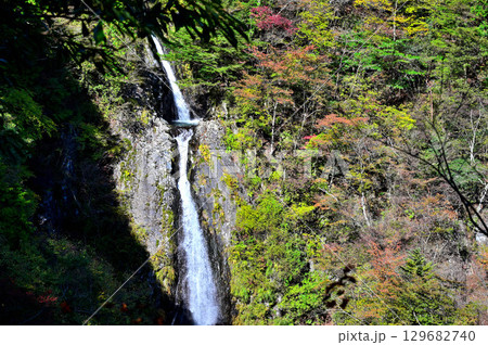 天子山地の毛無山 紅葉の不動ノ滝 天子山地の毛無山 紅葉の不動ノ滝 129682740