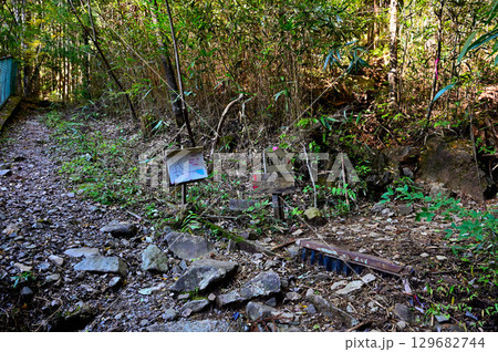 天子山地 毛無山の登山道 地蔵峠・毛無山分岐点 天子山地 毛無山の登山道 地蔵峠・毛無山分岐点 129682744