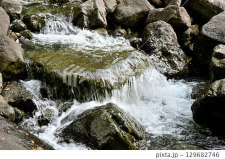 天子山地の毛無山　不動沢の渓流 129682746